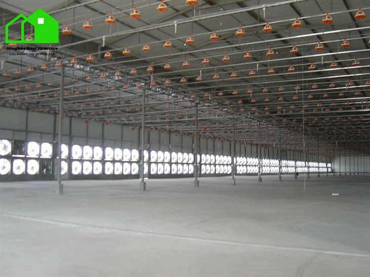 Chicken Farm Building